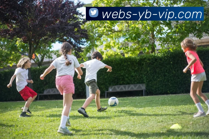 App Interface Preview