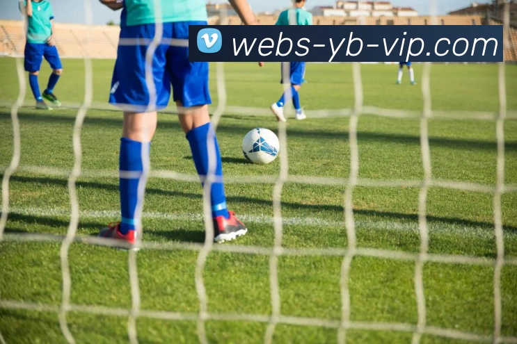 友博体育官网APP 封面图